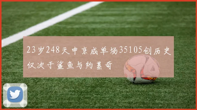 23岁248天申京成单场35105创历史仅次于鲨鱼与约基奇